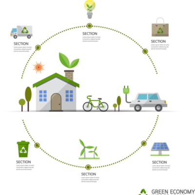 Timeline: Desarrollo Sustentable Origen y Términos