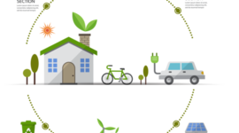 Timeline: Desarrollo Sustentable Origen y Términos