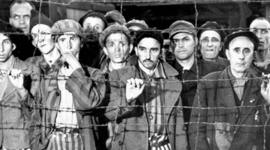 Timeline: The Holocaust