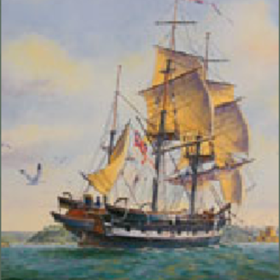 Timeline: beagle journey