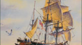 Timeline: beagle journey