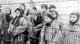 Timeline: holocaust timeline