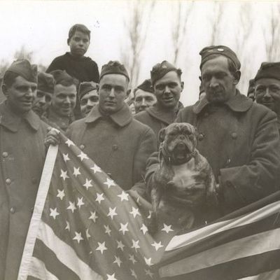 Timeline: Historia de Guerra Mundial Uno -Saunders