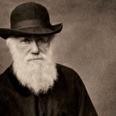 Timeline: Darwin's Voyage and Observations