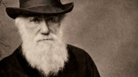 Timeline: Darwin's Voyage and Observations