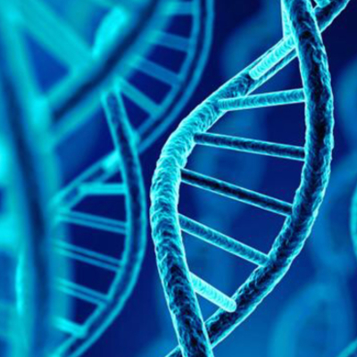 Timeline: DESCUBRIMIENTO DEL ADN