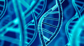 Timeline: DESCUBRIMIENTO DEL ADN