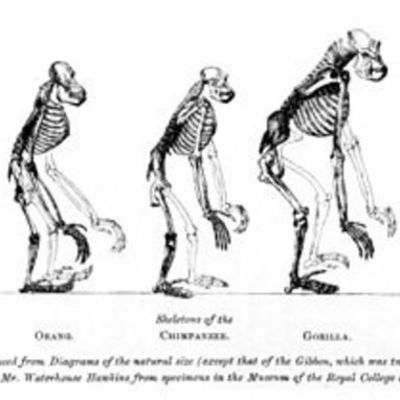 Timeline: LOS CIENTÍFICOS MÁS IMPORTANTES EN LA TEORÍA DE LA ACTUALIDAD