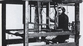 Timeline: Alexa Fleming