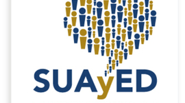 Timeline: Proceso del Sistema de Universidad Abierta y Educación a Distancia