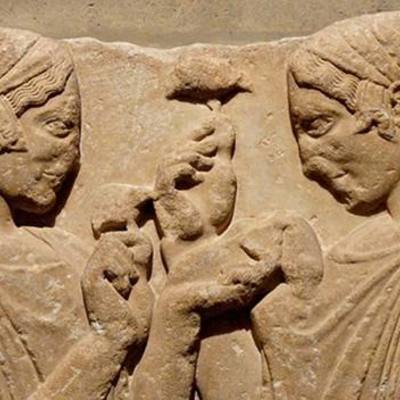 Timeline: Historia del Injerto