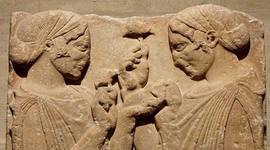 Timeline: Historia del Injerto