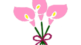 Timeline: Wedding Events in & around Colorado Springs