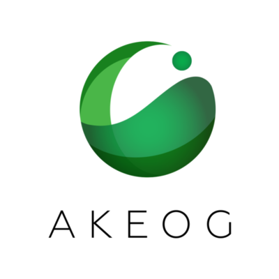 Timeline: HISTORIA DE AKEOG S.A.S