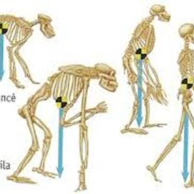 Timeline: El camino hacia la ciencia