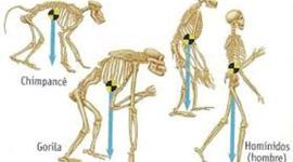 Timeline: El camino hacia la ciencia