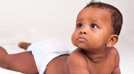 Timeline: Physical Development