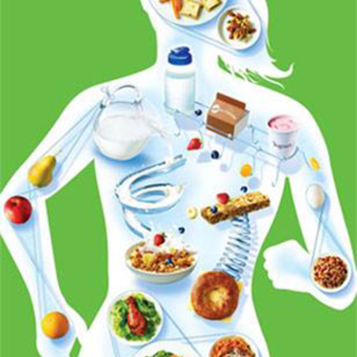 Timeline: Desarrollo de la investigación en Nutrición humana