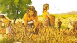 Timeline: Desarrollo de la investigación en nutrición humana