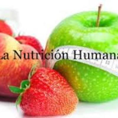 Timeline: Desarrollo de la investigación en nutrición humana t_2