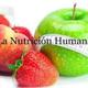 Nutricion humana