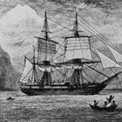 Timeline: Beagle's Voyage.