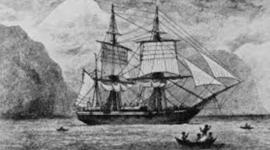 Timeline: Beagle's Voyage.