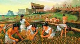 Timeline: Desarrollo de la investigación en nutrición humana