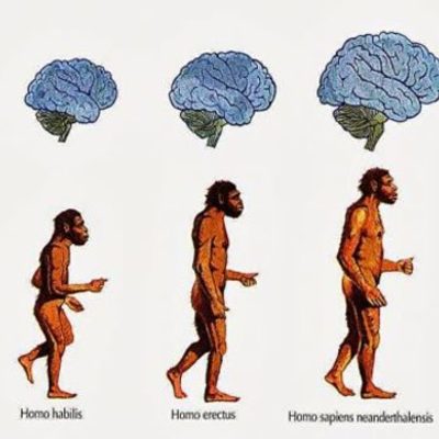 Timeline: EL ORIGEN Y LA EVOLUCIÓN