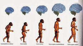 Timeline: EL ORIGEN Y LA EVOLUCIÓN