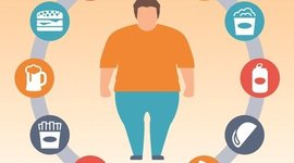 Timeline: Obesidad - Trastorno alimenticio