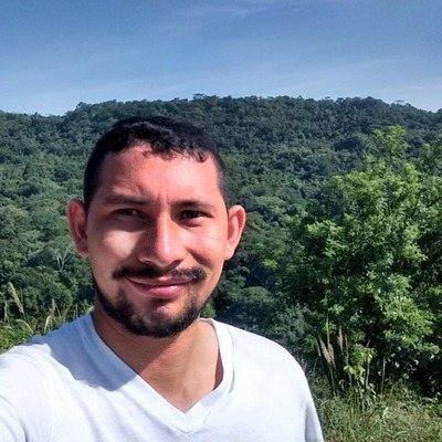 Timeline: Mi proyecto de vida: Heidelberg