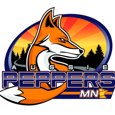 Timeline: Pro Softball in Mankato