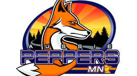 Timeline: Pro Softball in Mankato