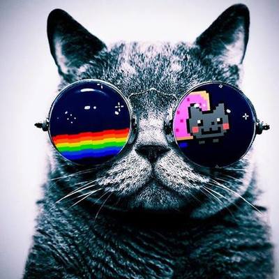 Timeline: 10 cosas que pasaron durante mi vida