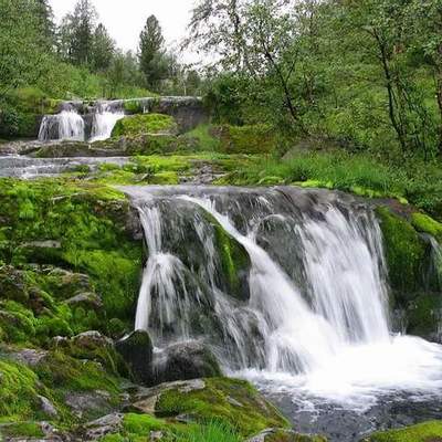 Timeline: Заповедники Пермского края. (Абдульменов Константин)