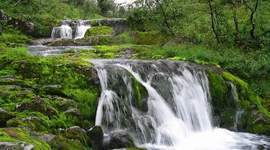 Timeline: Заповедники Пермского края. (Абдульменов Константин)