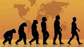 Timeline: La evolución humana
