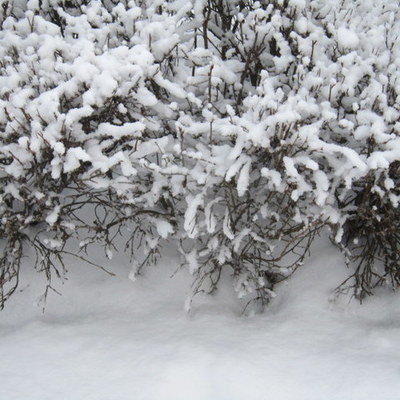 Timeline: Ajatelg - Külmsõda