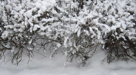 Timeline: Ajatelg - Külmsõda