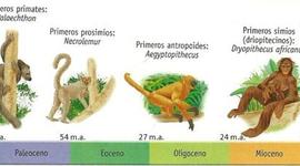 Timeline: EL CAMINO HACIA LA CIENCIA