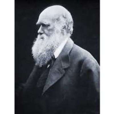Timeline: Charles Darwin Timeline