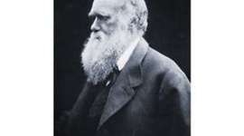 Timeline: Charles Darwin Timeline