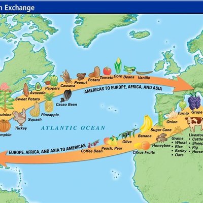 Timeline: The columbian exchange