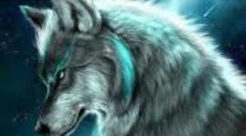 Timeline: EVOLUCION DE TIEMPO