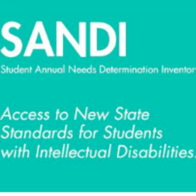 Timeline: Student Annual Needs Inventory (SANDI) Online Program Implementation