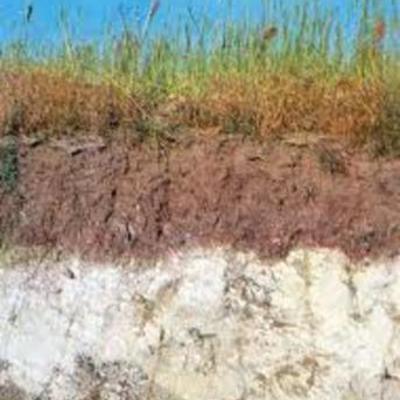 Timeline: Historia de la Edafología