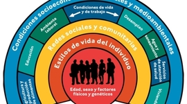 Timeline: La Salud y sus Determinantes Sociales