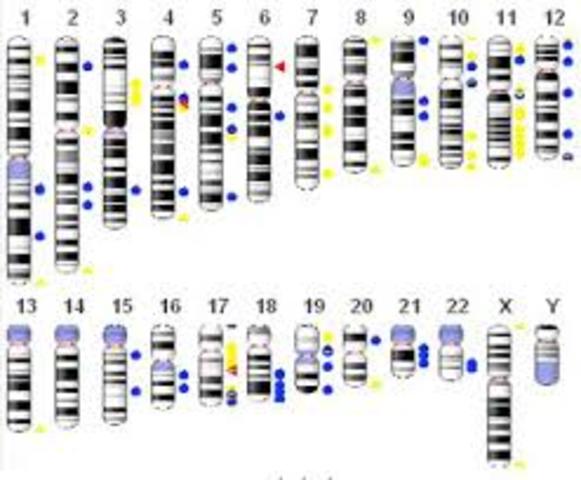 Historia de la biologia molecular timeline | Timetoast timelines