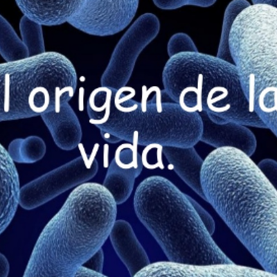 Timeline: El Origen De la Vida